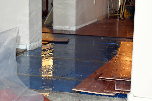Professional Burst Pipe Cleanup technician working in Martensdale, IA